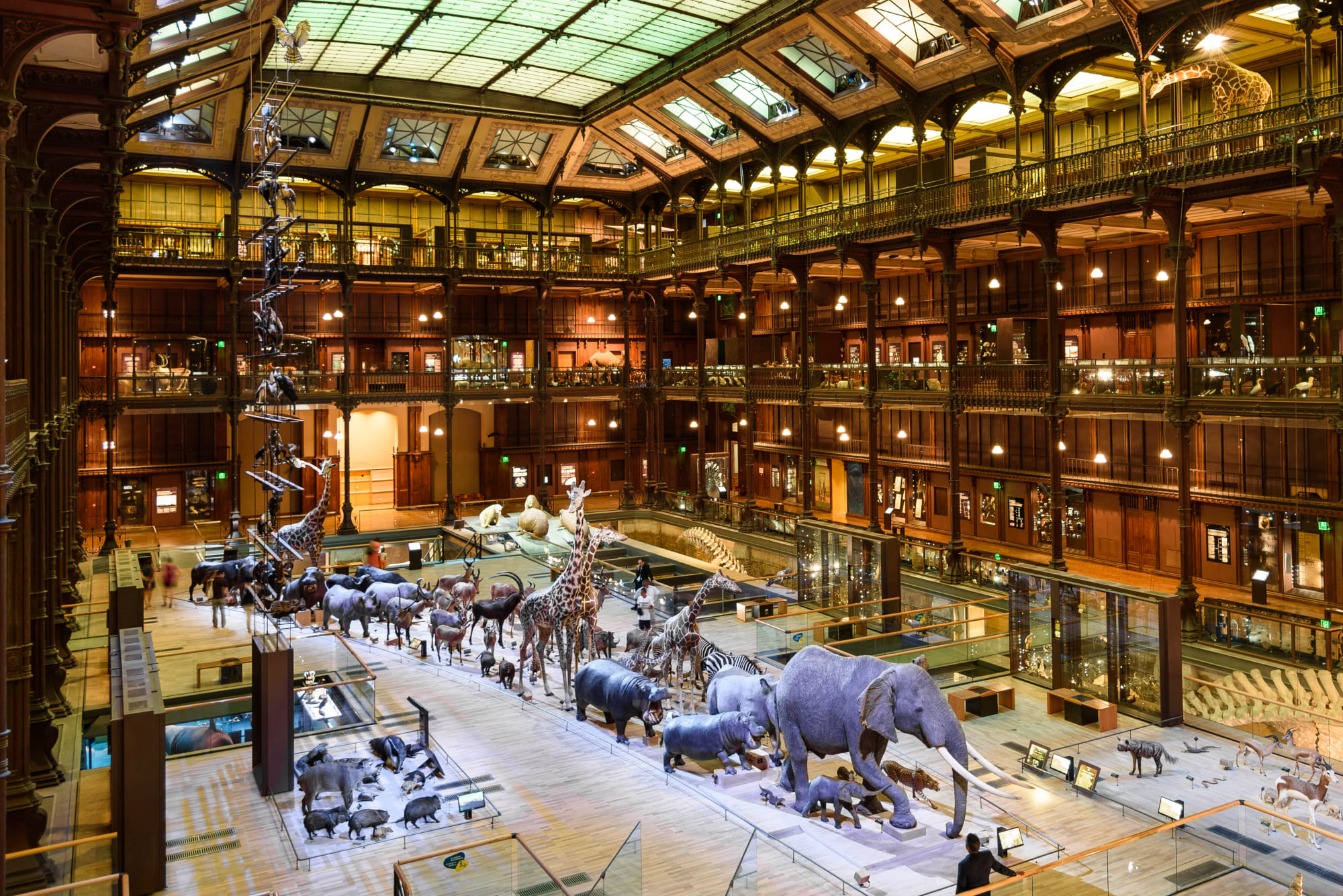 Natural History Museum